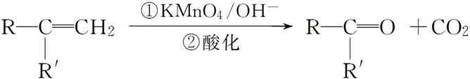 哆啦A梦：大雄与天空的理想乡